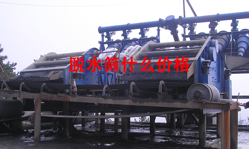 脫水篩什么價格.jpg