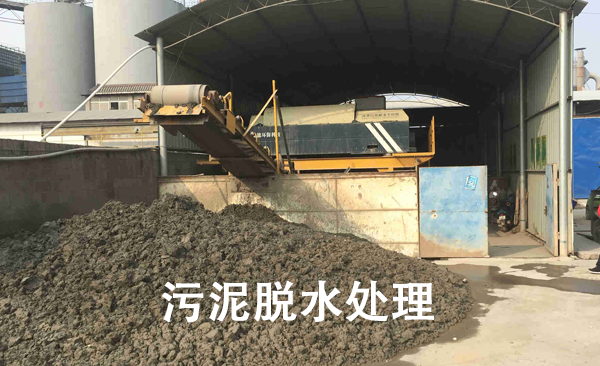 污泥脫水處理.png